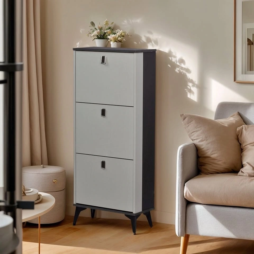 Zhtao Modern Nordic Shoe Cabinet Starting From $125