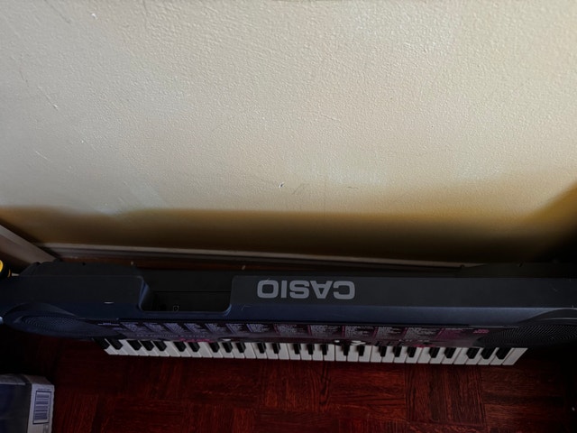 Casio LK-35 Keyboard - photo 2