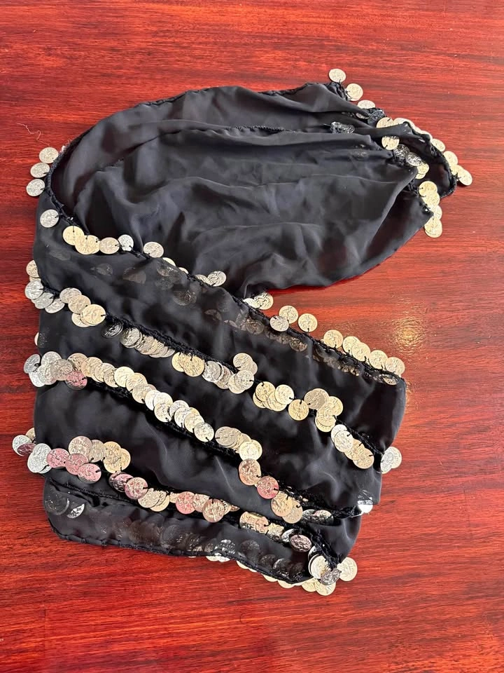 Belly Dance Skirt
