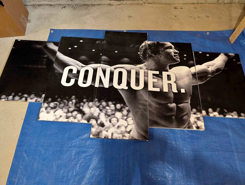 Arnold Schwarzenegger 'Conquer' 5-Panel Canvas Wall Art