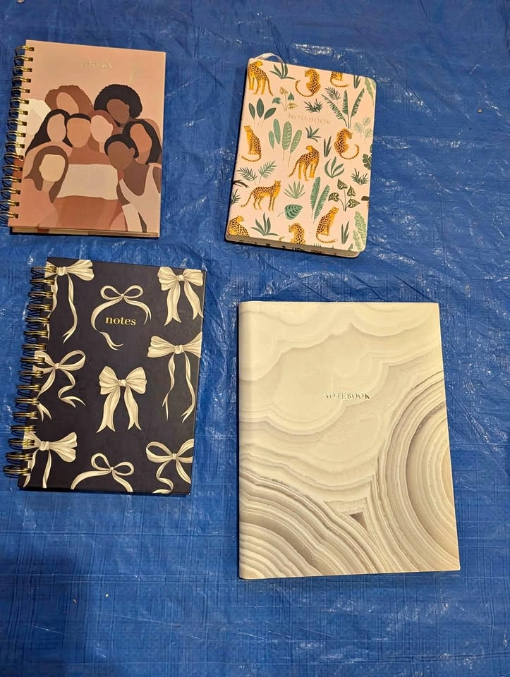 Set of 4 Assorted Lined Notebooks