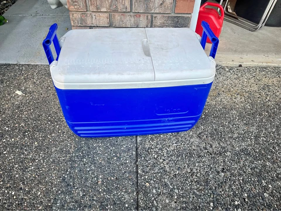 Igloo Cooler