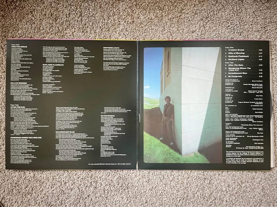 Rare - Bruce Cockburn - Dancing in the Dragon's Jaws Vinyl LP - photo 3