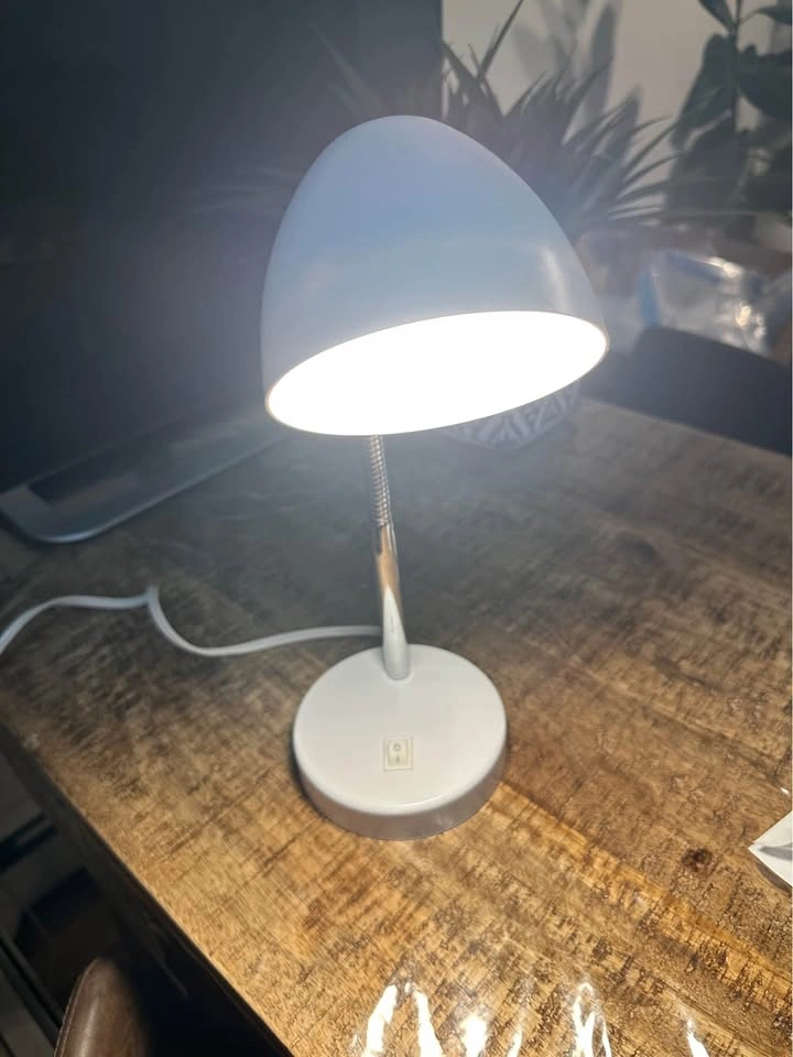 White Flexible Gooseneck Desk Lamp - photo 4