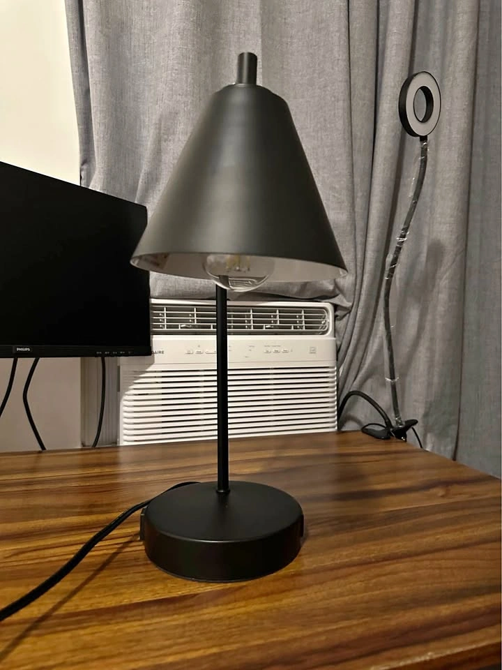 Black Metal Desk Lamp with Dual USB Ports