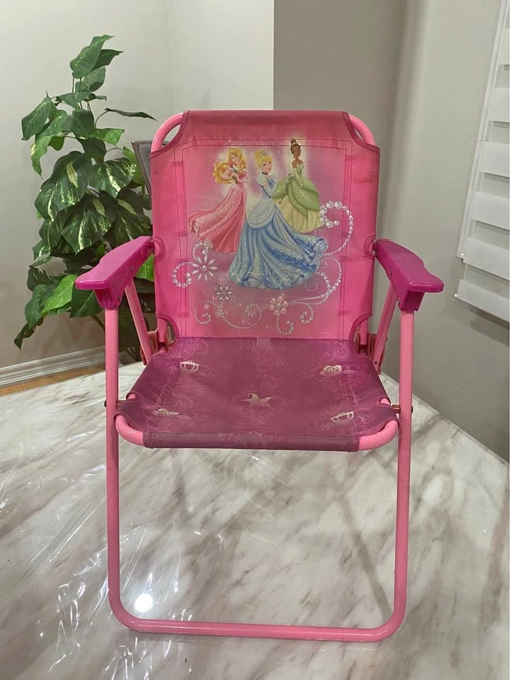 Disney Princess Camp Chair