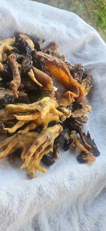 PREMIUM DEHYDRATED TREATS - photo 3
