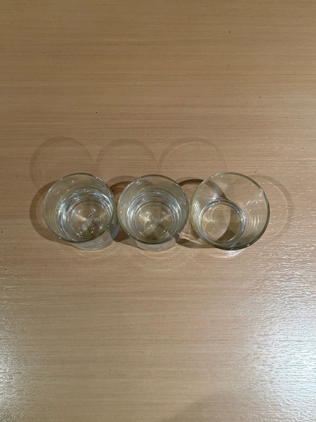 Toronto Maple Leafs Shot Glasses - photo 5