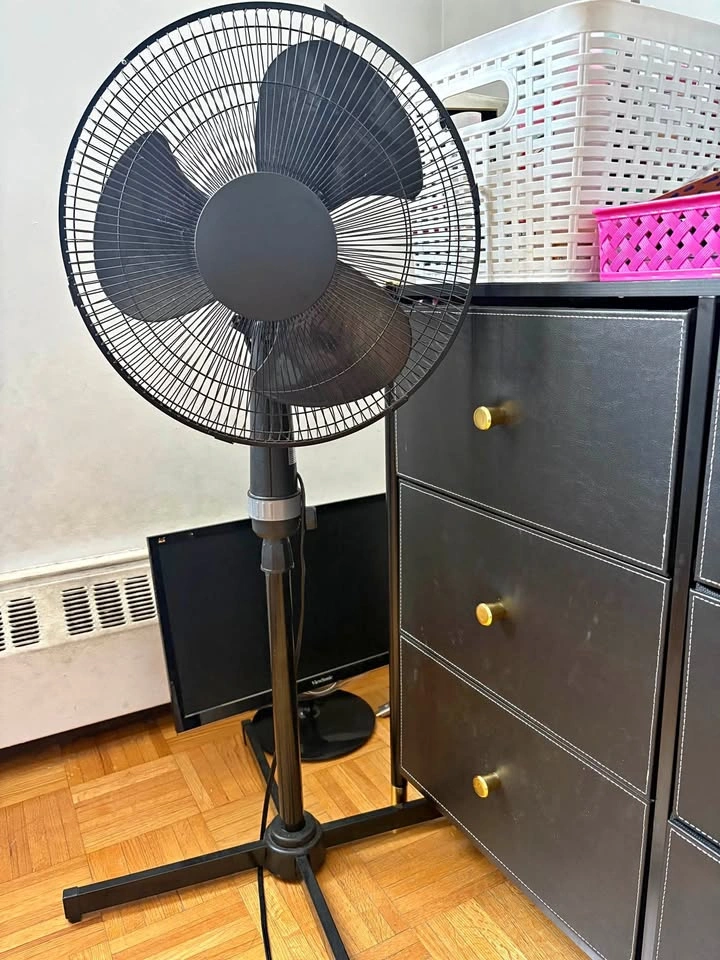 Black Standing Fan