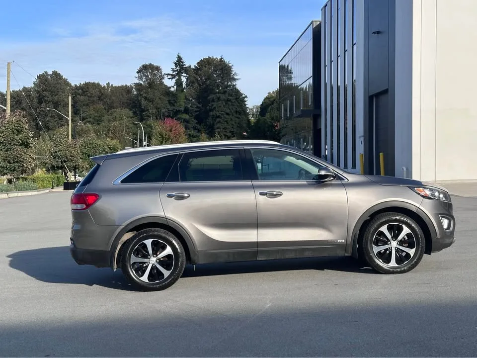 2017 Kia Sorento image indicator(7)