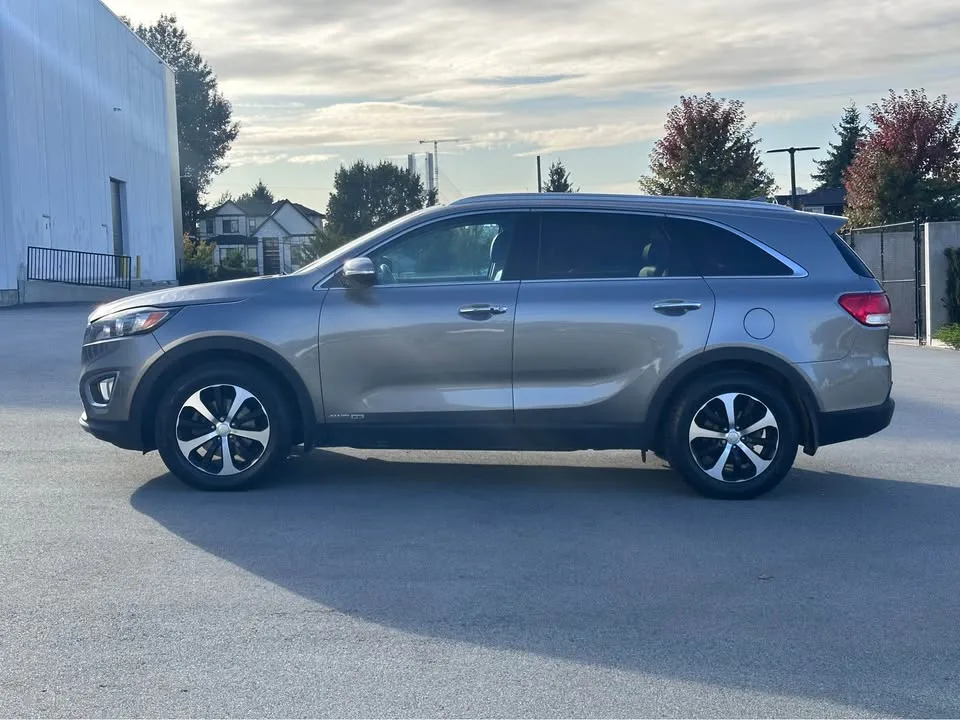2017 Kia Sorento image indicator(8)