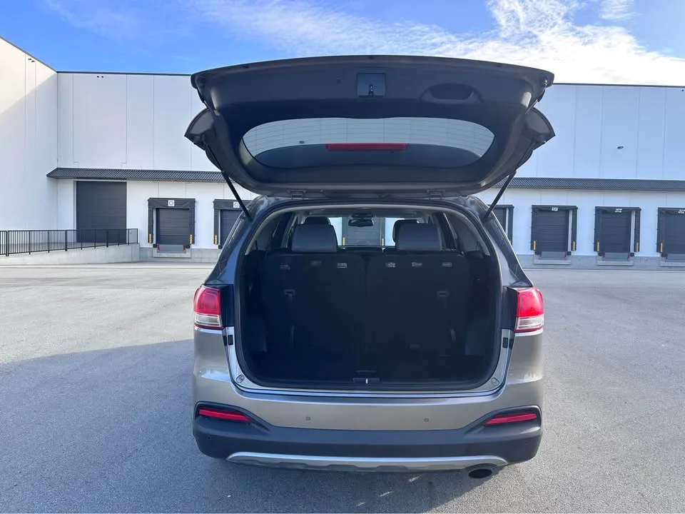 2017 Kia Sorento image indicator(9)