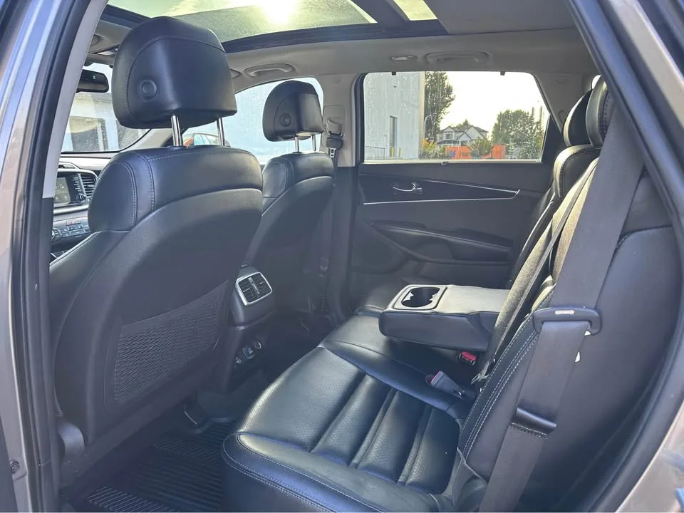 2017 Kia Sorento image indicator(10)