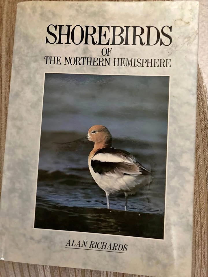 Shorebirds Of The Northern Hemisphere Hardcover Birding Guide