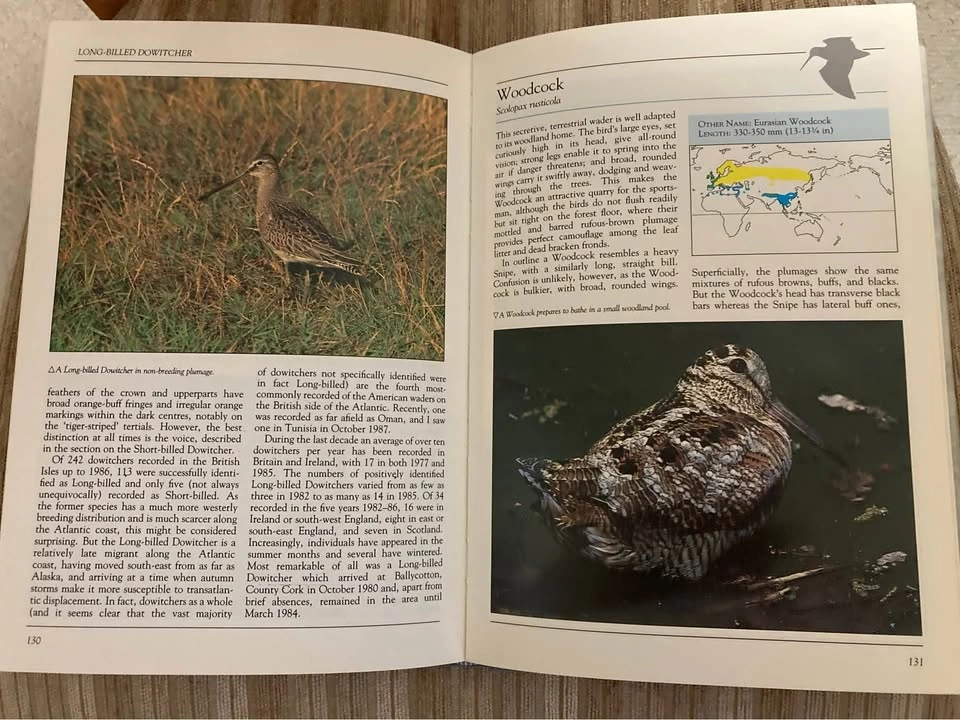 Shorebirds Of The Northern Hemisphere Hardcover Birding Guide - photo 2