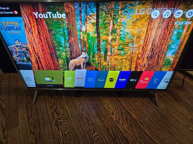 LG 43 inch 4K UHD 2160p HDR10 WebOS Smart TV