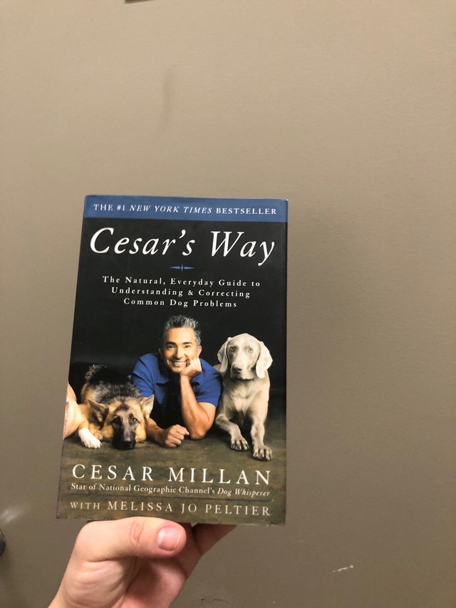 Cesar's Way: Guide to Understanding & Correcting Dog Problems