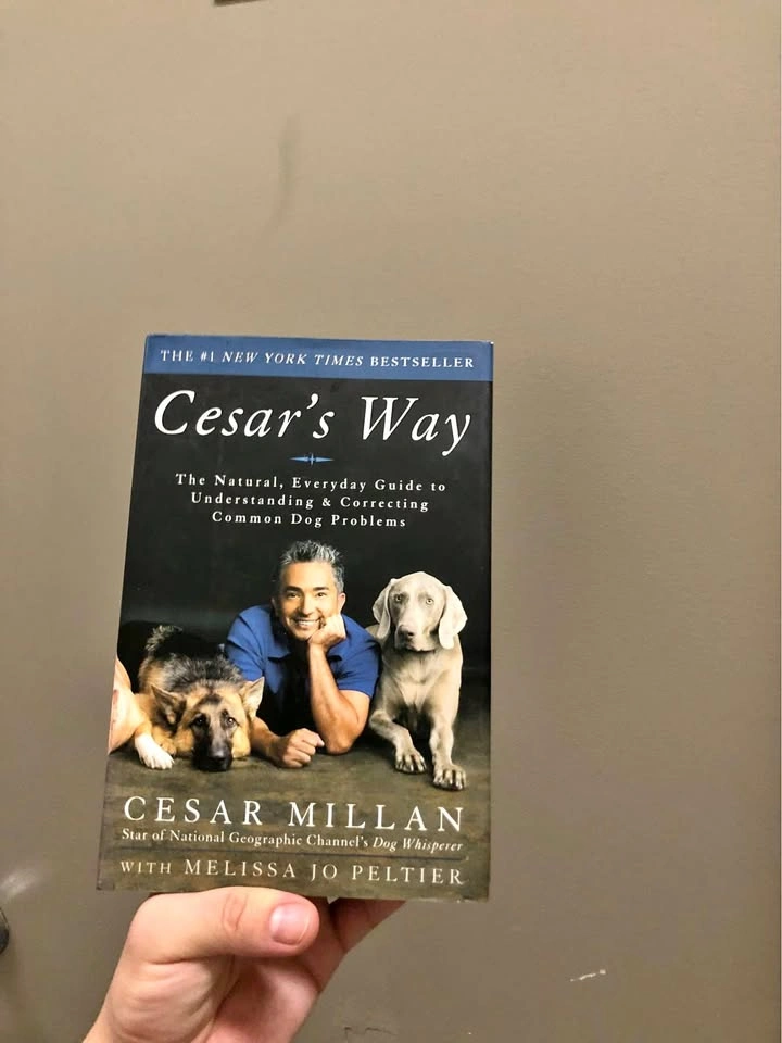 Cesar's Way Guide to Correcting Dog Problems book