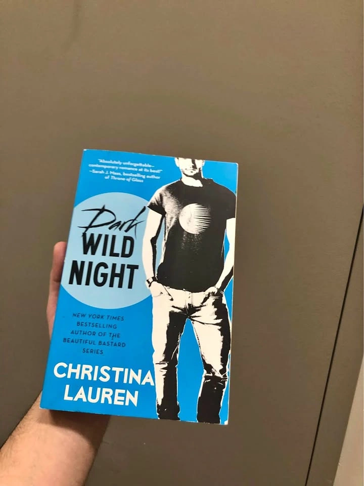 Dark Wild Night book by Christina Lauren