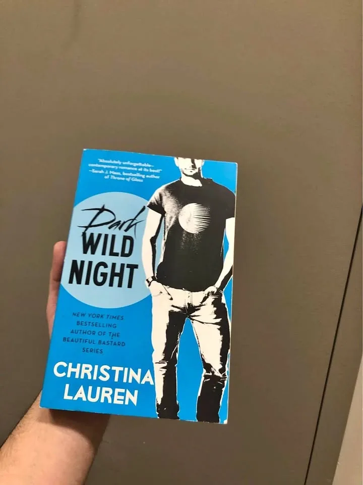 Dark Wild Night book by Christina Lauren