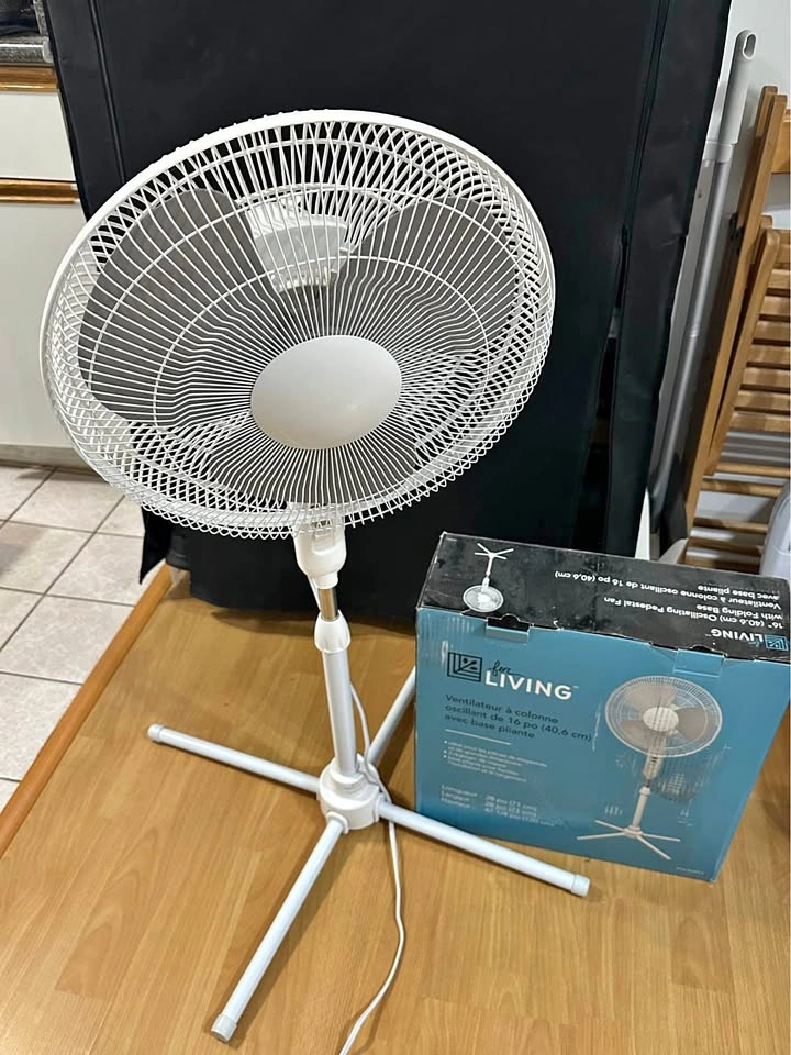 Fan