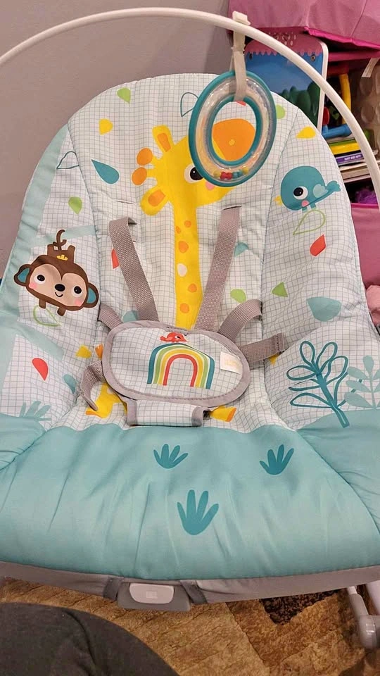 Bright Starts Baby Bouncer