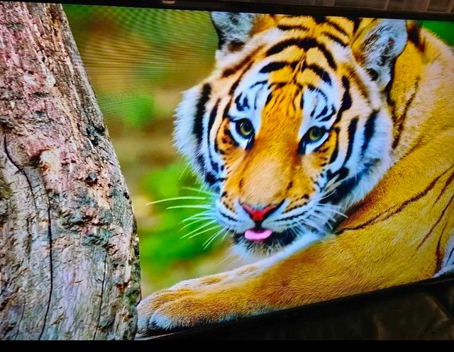 Onn 40 inch, 2026, Smart Roku TV in like new condition with box - photo 4