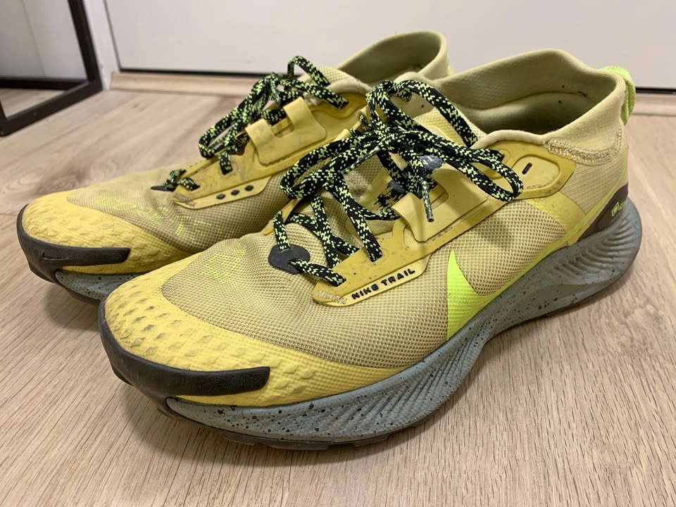 Nike Men's Pegasus Trail 3 Gore-Tex Waterproof Sneakers