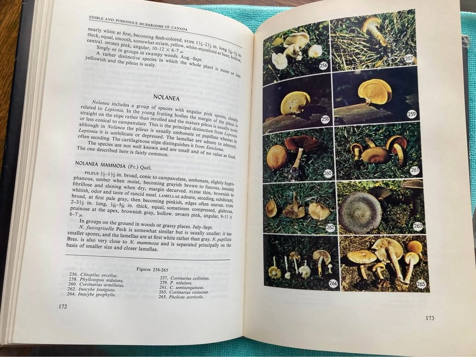 Vintage Mushroom Book Edible & Poisonous Mushrooms Of Canada - photo 2