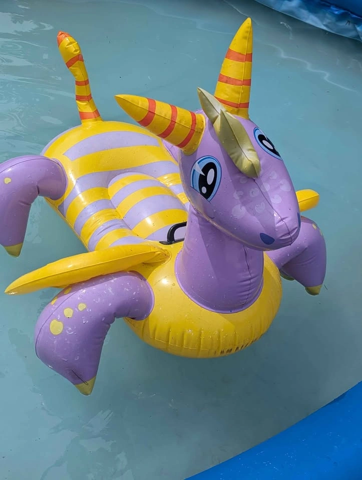 Summer Waves Inflatable Pool - photo 3