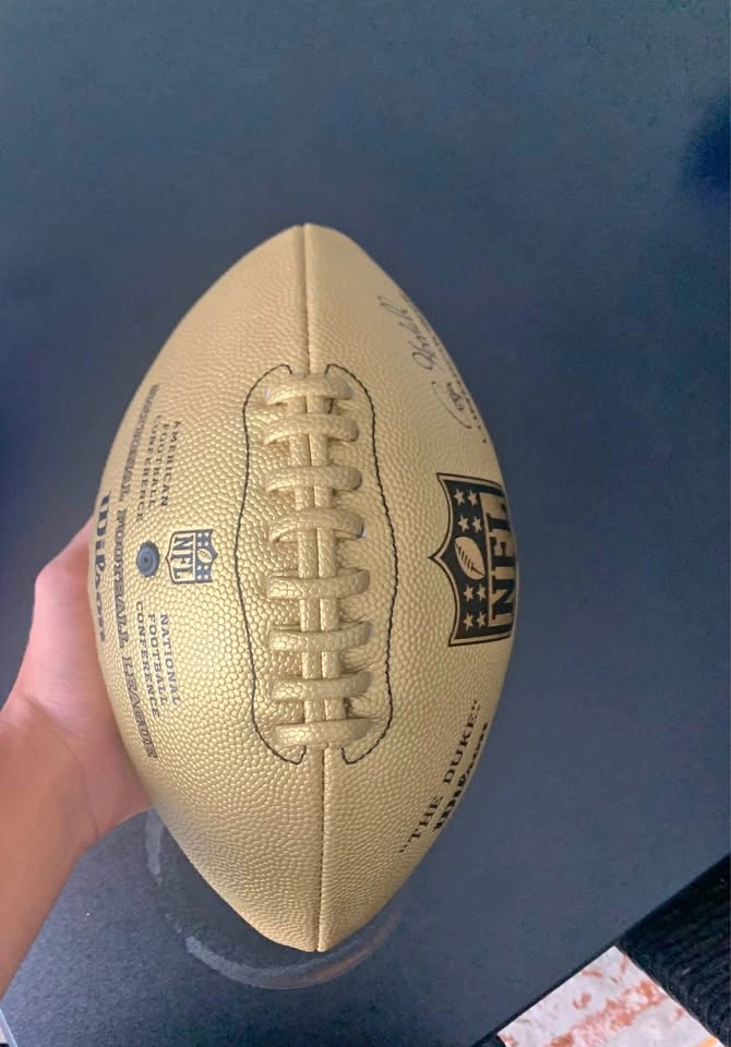 Wilson NFL 'The Duke' Football