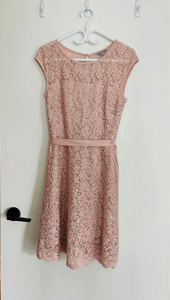 Beautiful Sequin Dress – Size 4 Petite