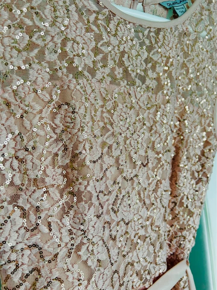 Beautiful Sequin Dress – Size 4 Petite - photo 4