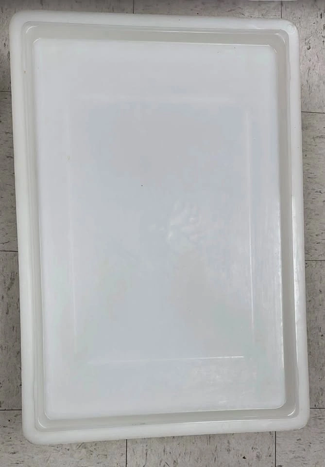 White Poly Food Box Storage