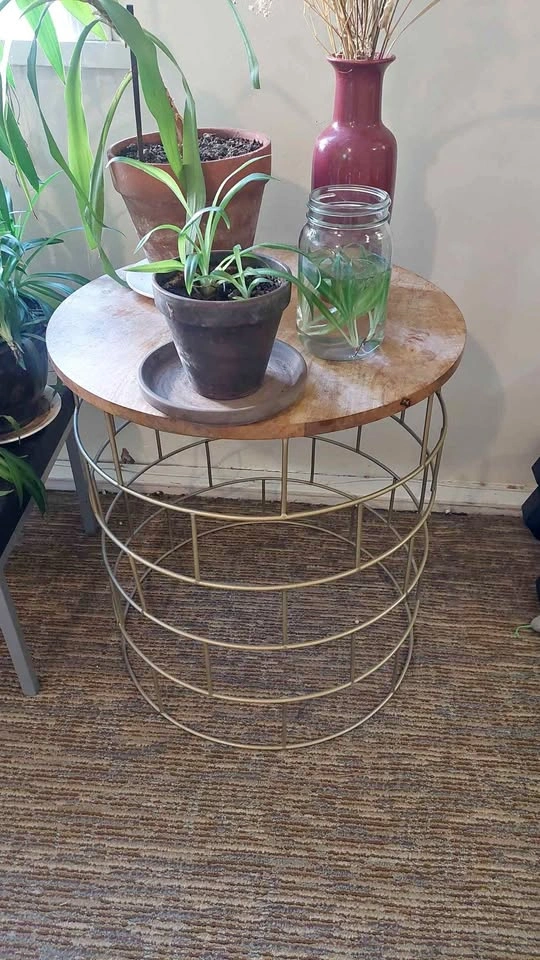 Round Wood and Gold Metal Wire Side Table