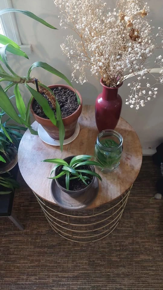 Round Wood and Gold Metal Wire Side Table - photo 2