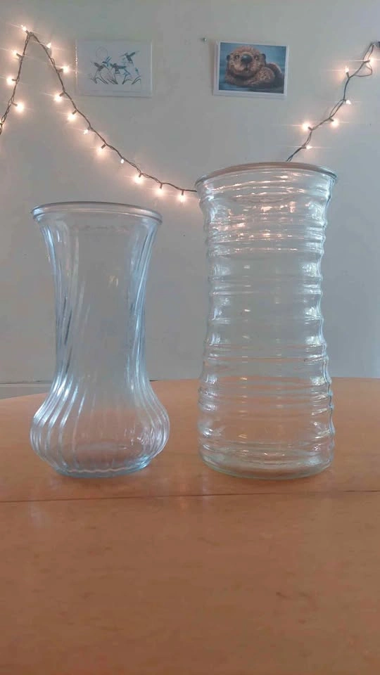Set of 2 Clear Glass Vases