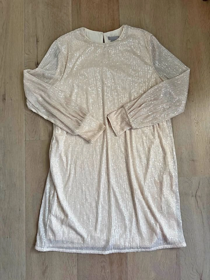 H&M Sparkly Sequin Long Sleeve Shift Dress