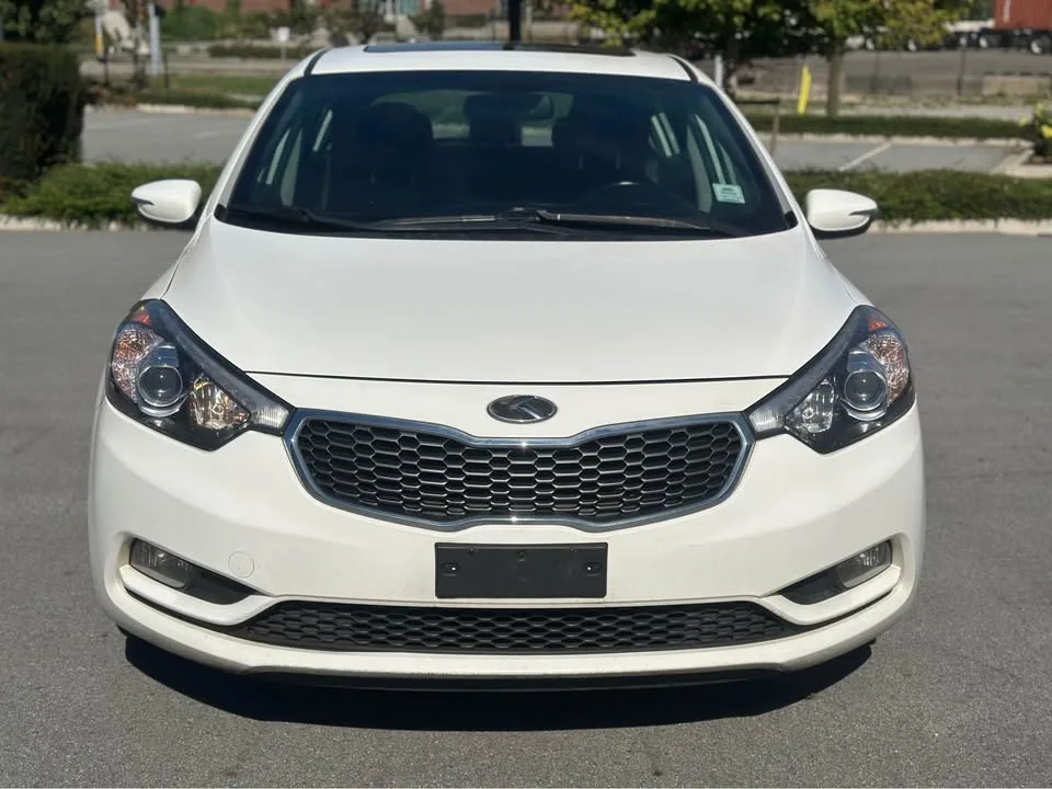 2016 Kia Forte image indicator(3)