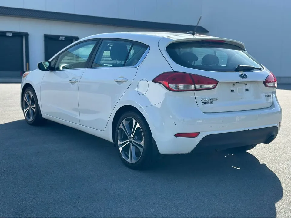 2016 Kia Forte image indicator(5)