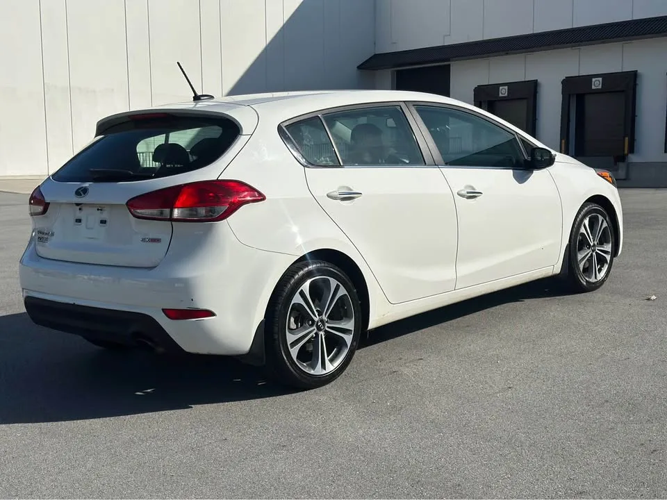 2016 Kia Forte image indicator(6)