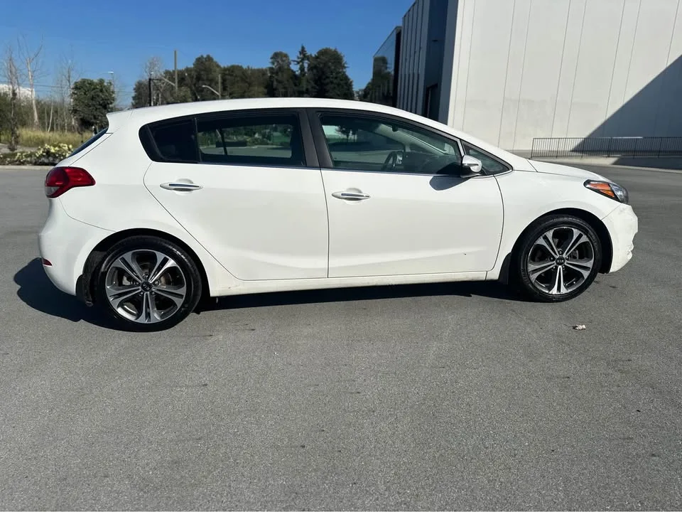 2016 Kia Forte image indicator(7)