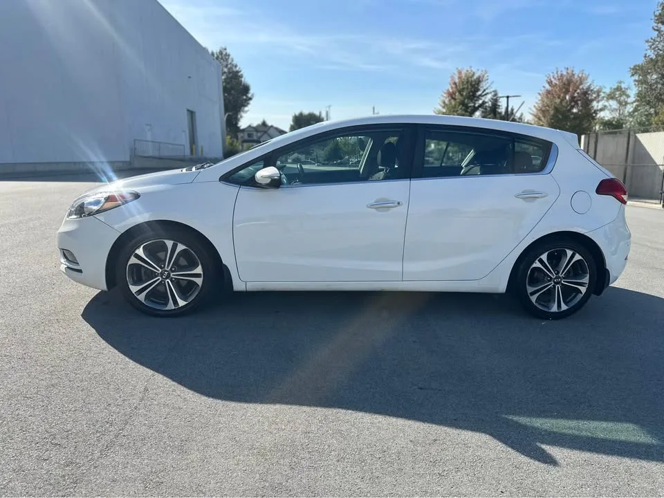 2016 Kia Forte image indicator(8)