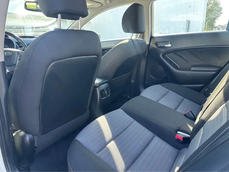 2016 Kia Forte image indicator(9)