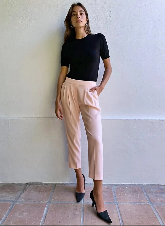 Aritzia Babaton Cohen Pants