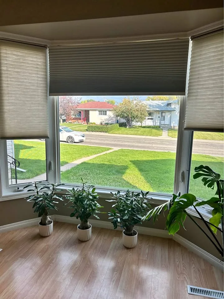 6 Beds 3 Baths - House