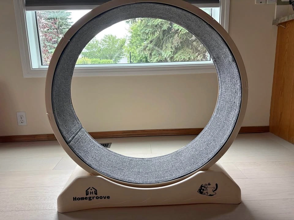 Cat wheel