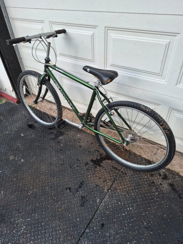 26'' wheel bike Giant Boulder Green road bicycle - photo 3