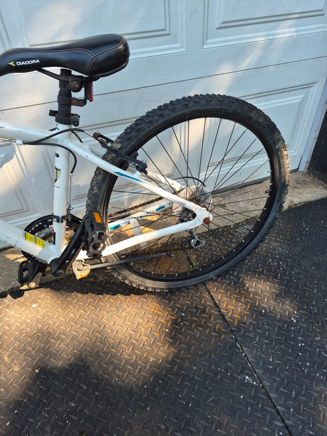 26'' Savona Diadora White Mountain Bicycle - photo 4