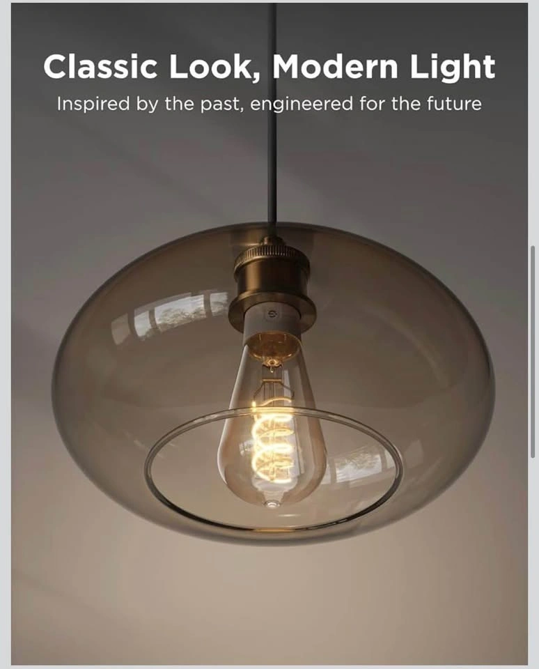 Govee Smart Edison ST19 LED Bulbs (4-Pack) - photo 4